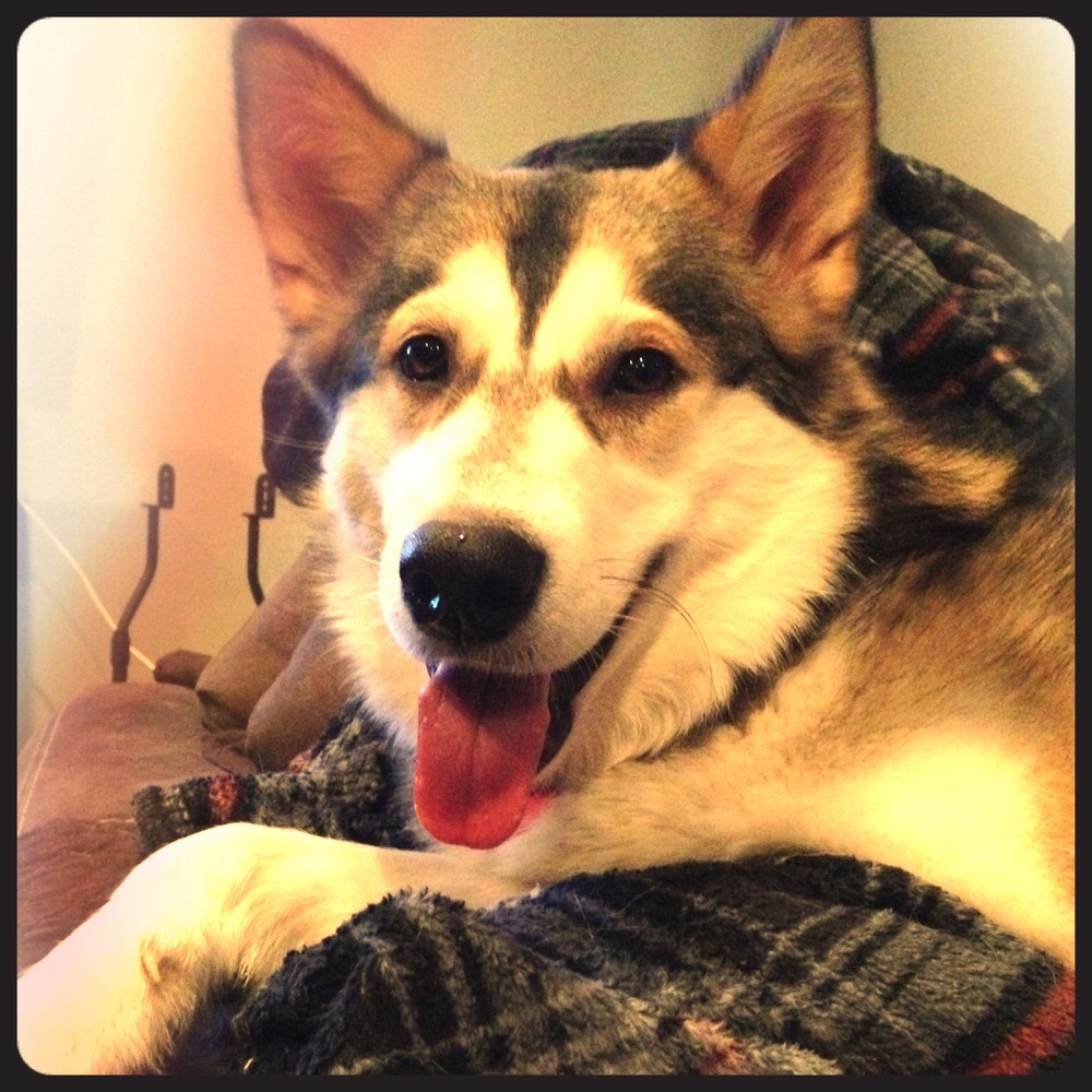 Meet your Posher, Christina